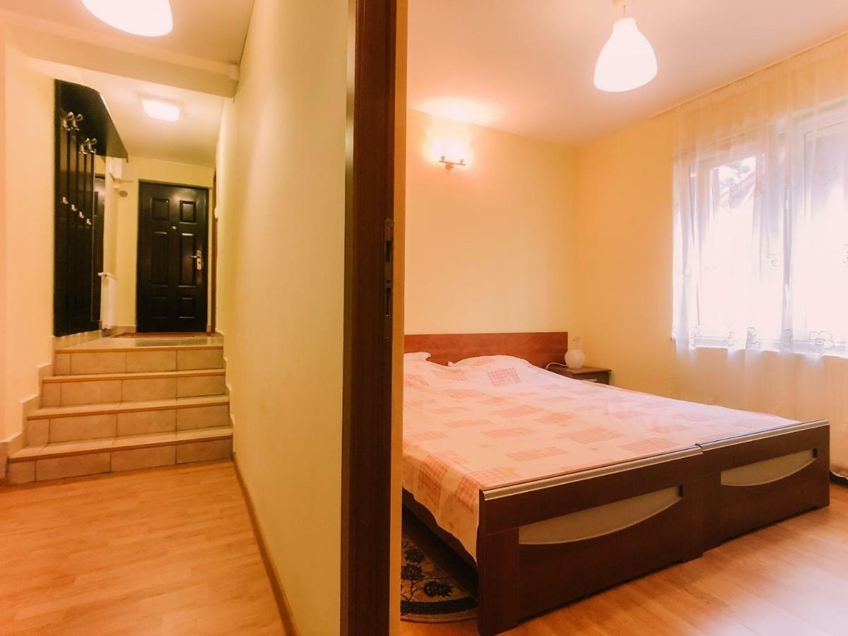 Spacious Apartment Near Peles Sinaia Exterior photo