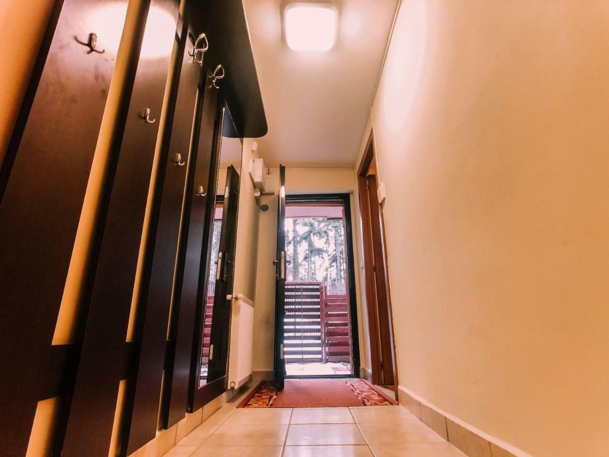 Spacious Apartment Near Peles Sinaia Exterior photo