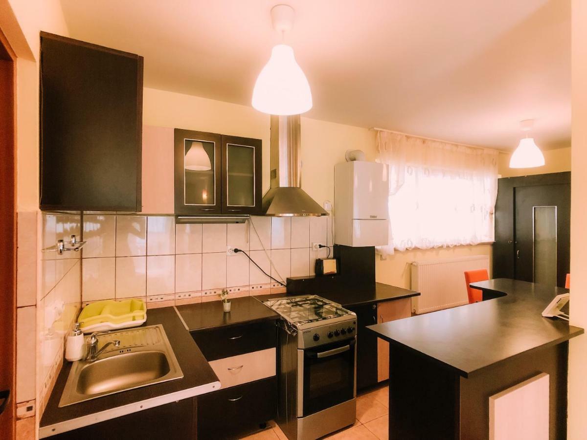 Spacious Apartment Near Peles Sinaia Exterior photo